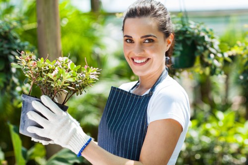 Local tree surgery team handling a tree maintenance job for a Twickenham home or business