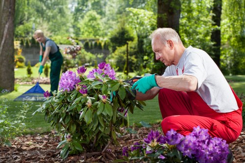 Sustainable tree surgery recycling and waste separation in Twickenham