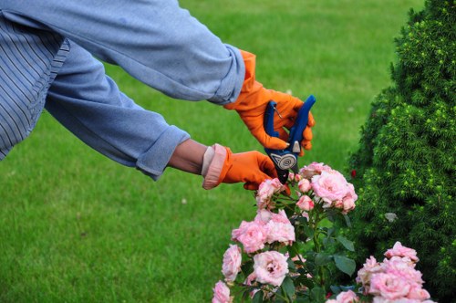 Local tree surgery team carrying out crown lifting near a home